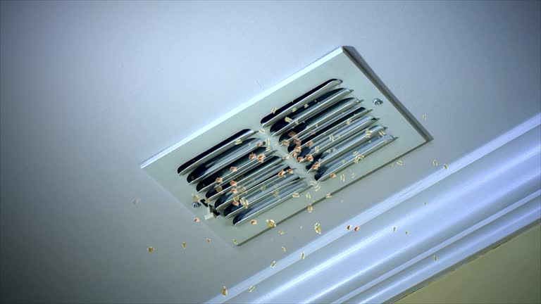 Best Air Duct Cleaning Near Me  in Lebanon, MO